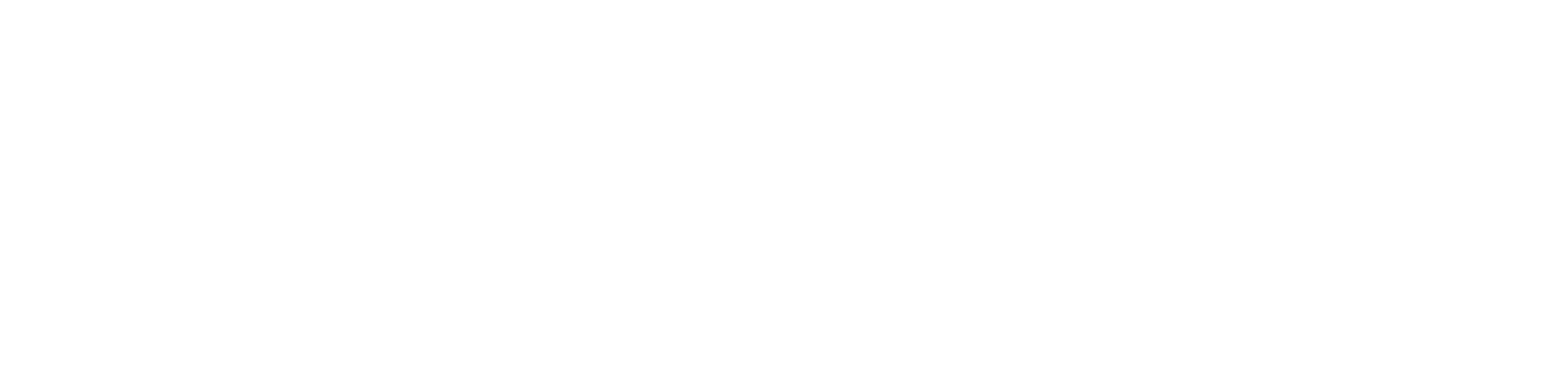 bsc news logo